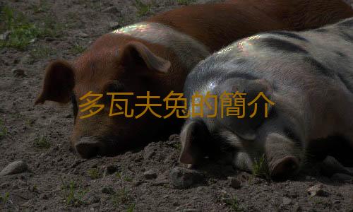 多瓦夫兔的簡介
