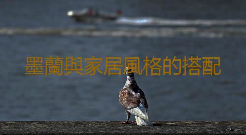墨蘭與家居風格的搭配