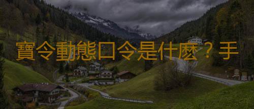 寶令動態口令是什麽？手機寶令怎麽用？