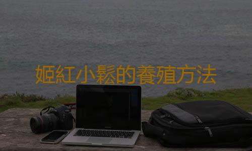 姬紅小鬆的養殖方法