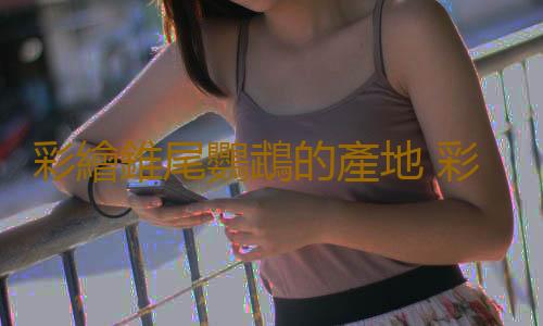 彩繪錐尾鸚鵡的產地 彩繪錐尾鸚鵡的簡介