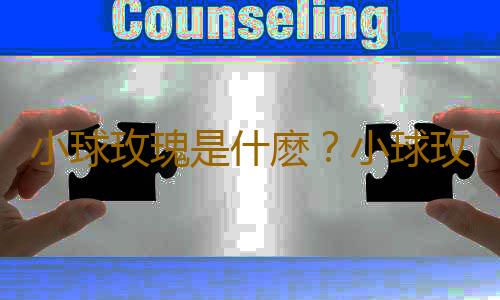 小球玫瑰是什麽？小球玫瑰的養殖方法