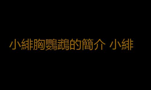 小緋胸鸚鵡的簡介 小緋胸鸚鵡的生活習性