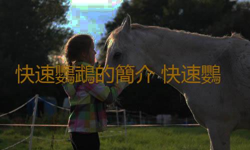 快速鸚鵡的簡介 快速鸚鵡的產地