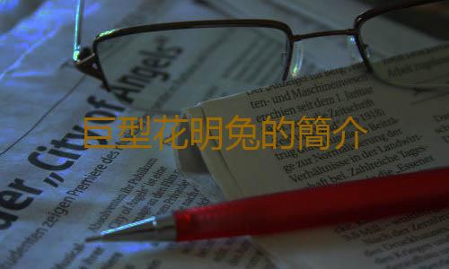 巨型花明兔的簡介