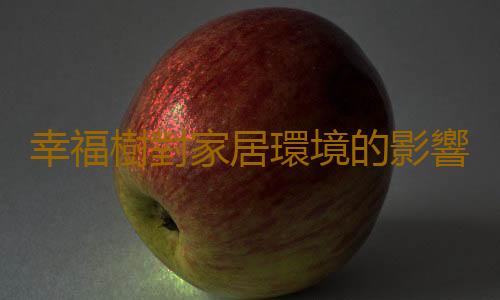 幸福樹對家居環境的影響