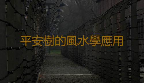 平安樹的風水學應用