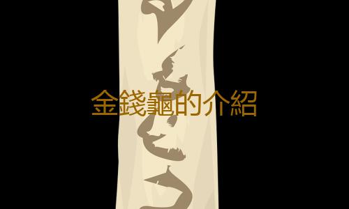 金錢龜的介紹