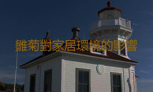 雛菊對家居環境的影響