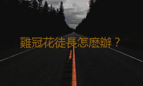 雞冠花徒長怎麽辦？