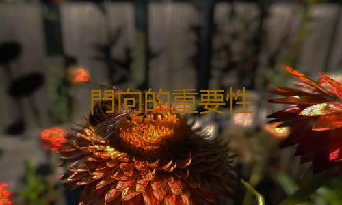 門向的重要性