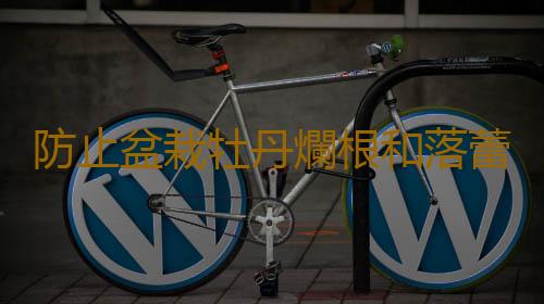 防止盆栽牡丹爛根和落蕾的方法