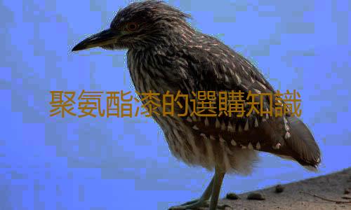 聚氨酯漆的選購知識