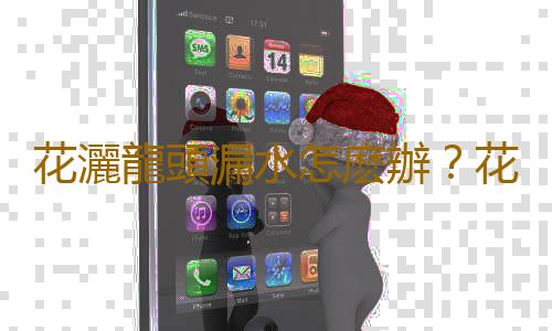花灑龍頭漏水怎麽辦？花灑龍頭安裝方法