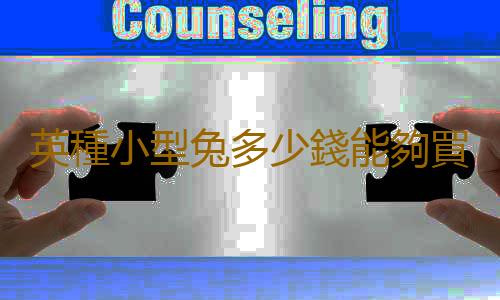 英種小型兔多少錢能夠買到？