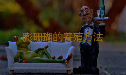 膨珊瑚的養殖方法