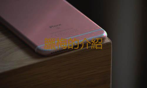 臘梅的介紹
