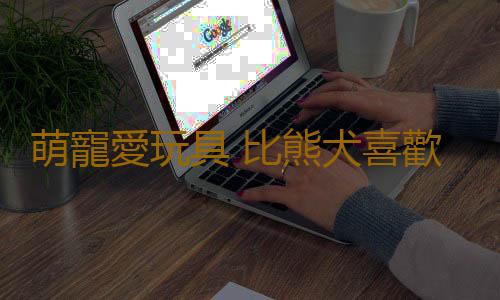萌寵愛玩具 比熊犬喜歡玩什麽玩具