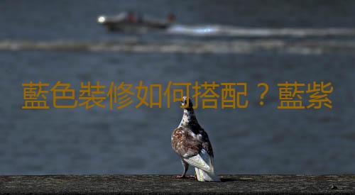 藍色裝修如何搭配？藍紫色是夢幻組合