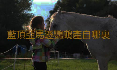 藍頂亞馬遜鸚鵡產自哪裏？藍頂亞馬遜鸚鵡的簡介