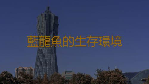 藍龍魚的生存環境