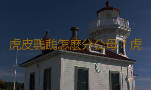 虎皮鸚鵡怎麽分公母？虎皮鸚鵡會長大嗎？