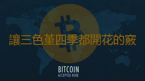 讓三色堇四季都開花的竅門