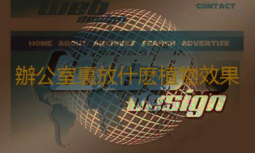 辦公室裏放什麽植物效果好