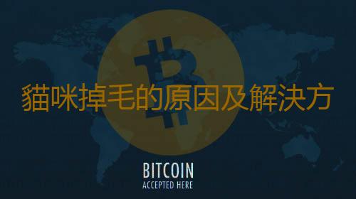 貓咪掉毛的原因及解決方法