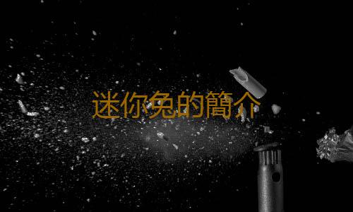 迷你兔的簡介