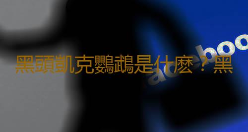 黑頭凱克鸚鵡是什麽？黑頭凱克鸚鵡的生活習性