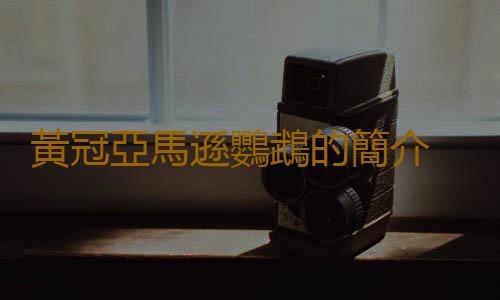 黃冠亞馬遜鸚鵡的簡介 黃冠亞馬遜鸚鵡的產地